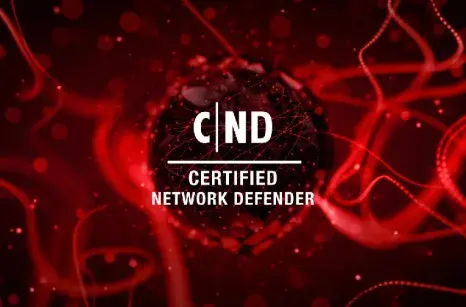 Certified Network Defender